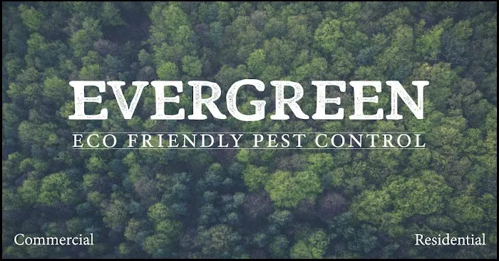 Evergreen Eco Pest Control Picture 6