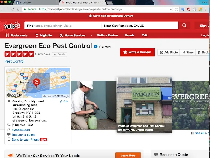 Evergreen Eco Pest Control Picture 4