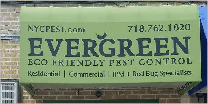 Evergreen Eco Pest Control Picture 3