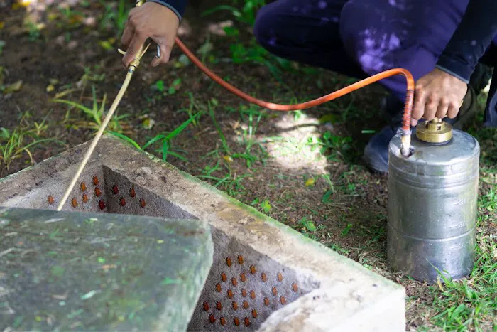 Queens Exterminator 24/7 Pest Control Picture 7