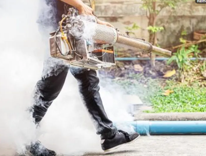 Queens Exterminator 24/7 Pest Control Picture 3