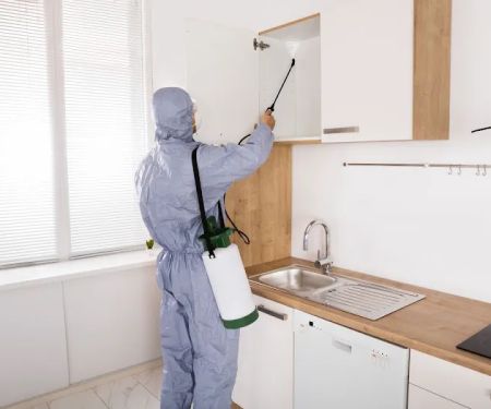 Queens Exterminator 24/7 Pest Control