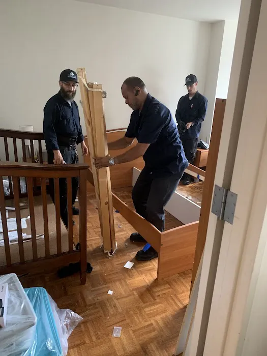 Beyond Pest Control Picture 5