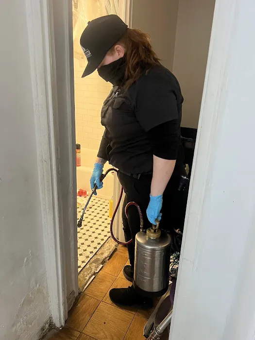 Beyond Pest Control Picture 4