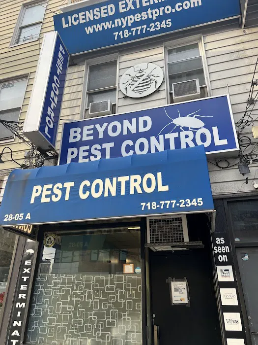 Beyond Pest Control Picture 7