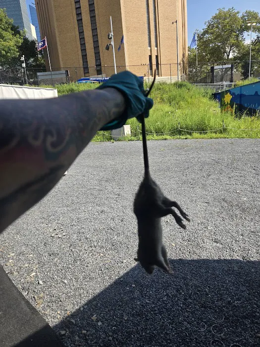 Beyond Pest Control Picture 2