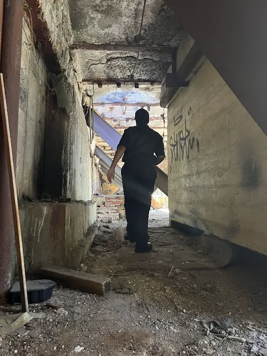 Beyond Pest Control Picture 6