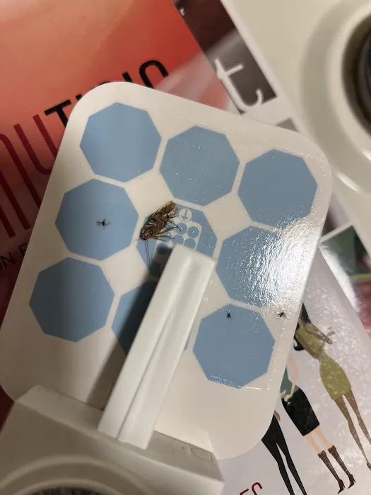 Beyond Pest Control Picture 8