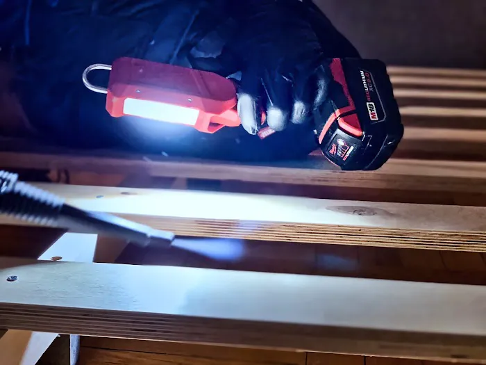 Standard Pest Management Picture 7