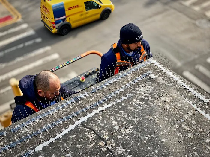 Standard Pest Management Picture 10