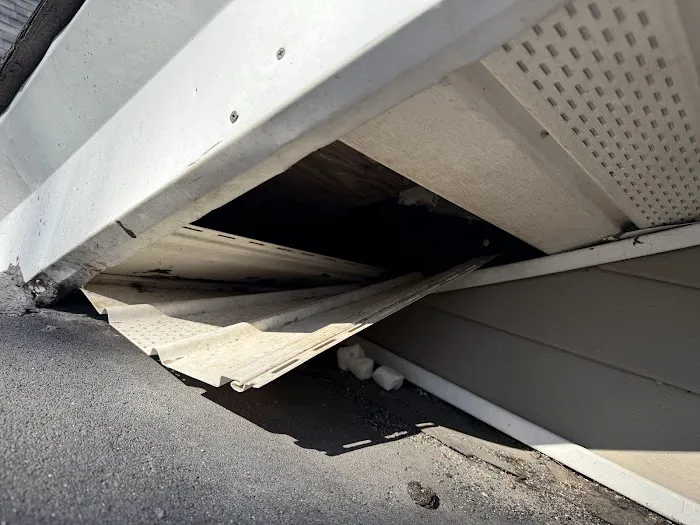 800-Raccoon Pest & Wildlife Control Picture 5