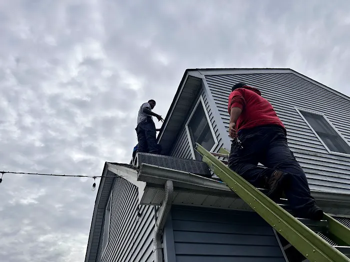 800-Raccoon Pest & Wildlife Control Picture 2