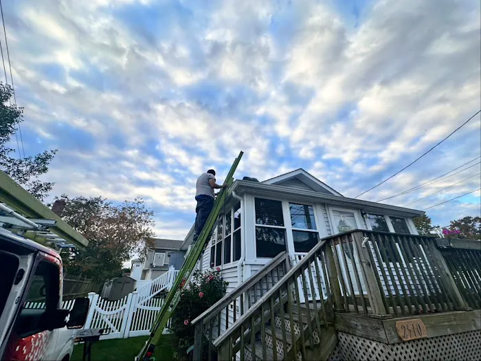 800-Raccoon Pest & Wildlife Control Picture 4