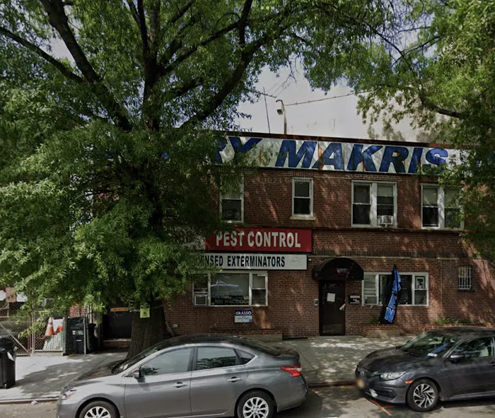 800-Raccoon Pest & Wildlife Control Picture 1