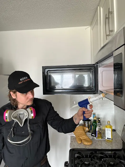 Koch Pest Control Picture 10