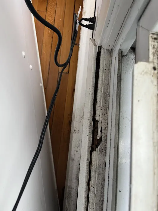 Koch Pest Control Picture 6