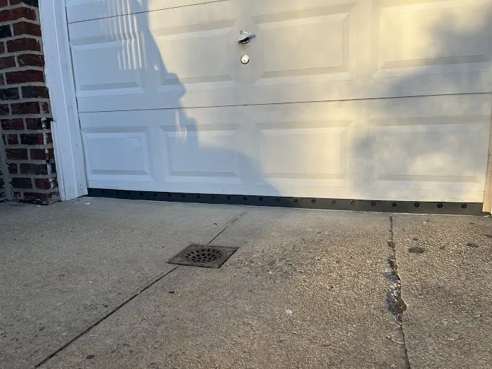 Koch Pest Control Picture 4