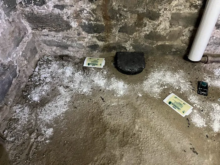 Koch Pest Control Picture 5