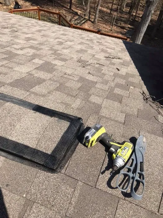 Rat Control of New York Picture 10