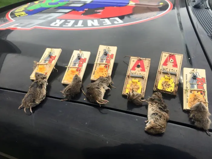 Rat Control of New York Picture 5