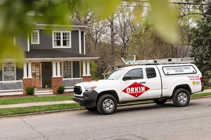 Orkin Picture 5
