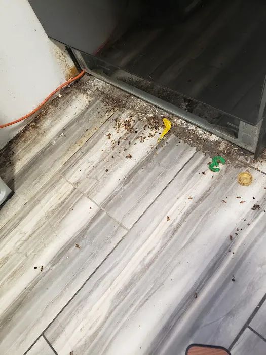 Fumigador Latino Picture 7