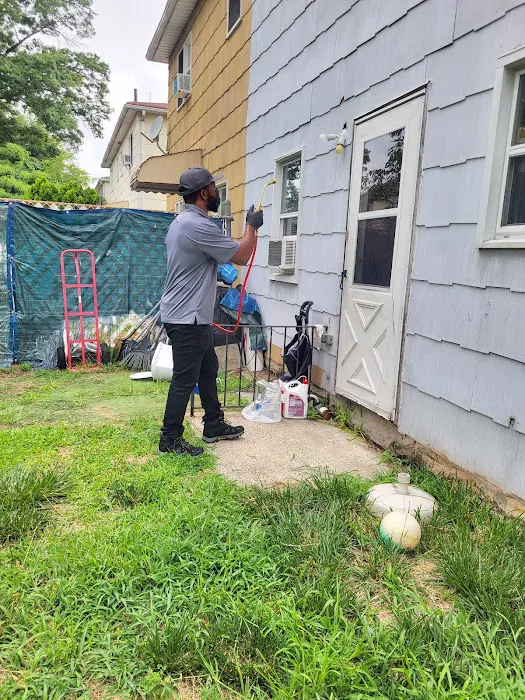 Exto Pest Control LLC Picture 4