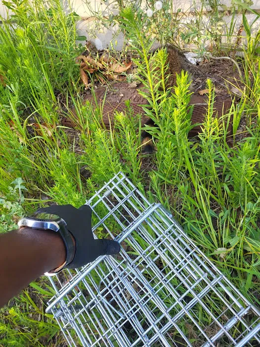 Exto Pest Control LLC Picture 7