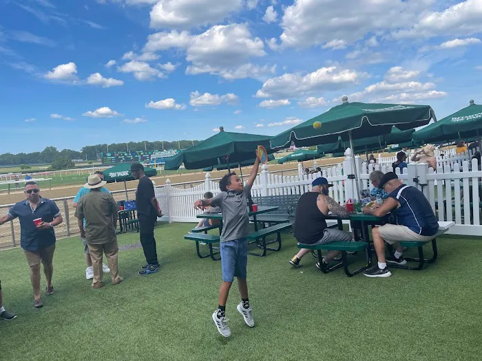 Colony Pest Management, Inc Picture 5