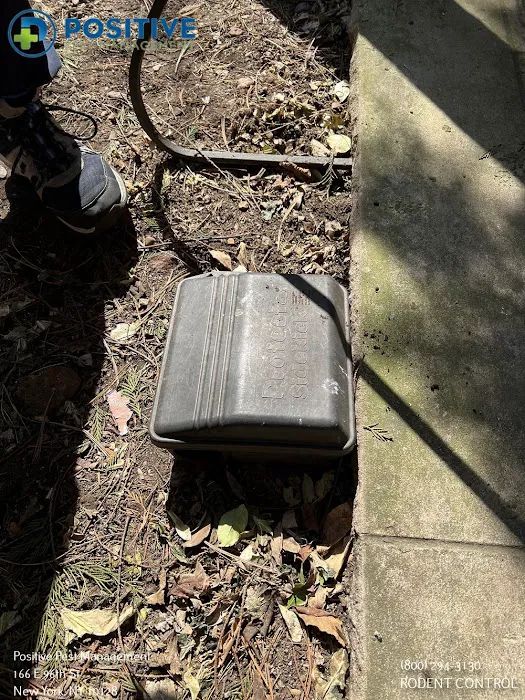 Positive Pest Management Picture 3