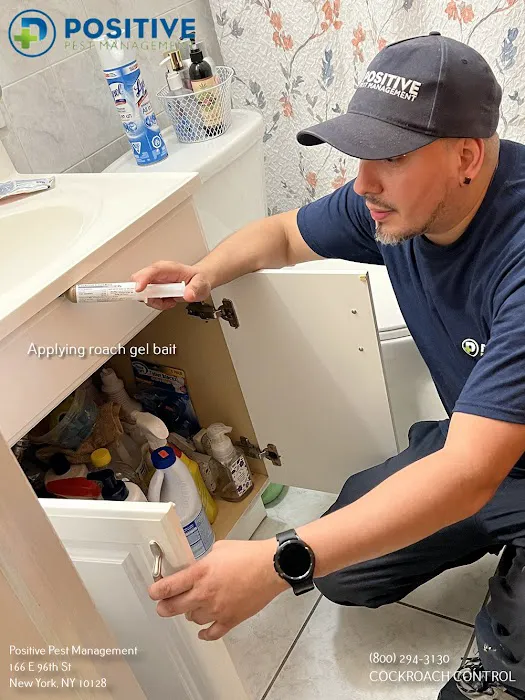 Positive Pest Management Picture 8