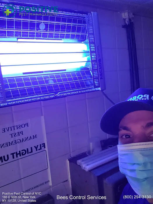 Positive Pest Management Picture 2