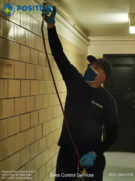 Positive Pest Management Picture 4