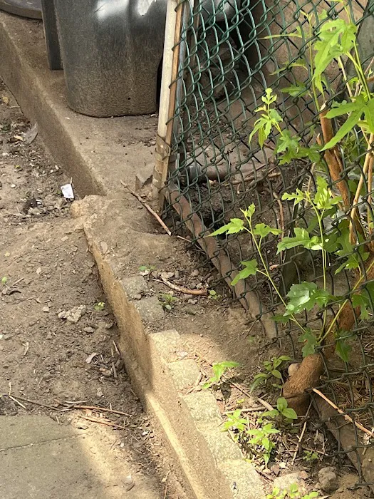 Newark Exterminator Last Stop Pest Control Picture 6