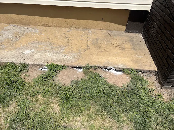 Newark Exterminator Last Stop Pest Control Picture 7