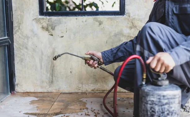 Newark Pest Control Pros Picture 5