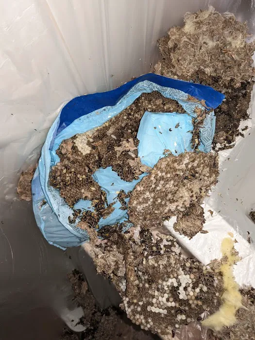 Diamond Plus Pest Control INC Picture 1