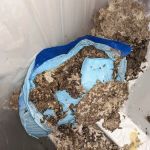 Diamond Plus Pest Control INC