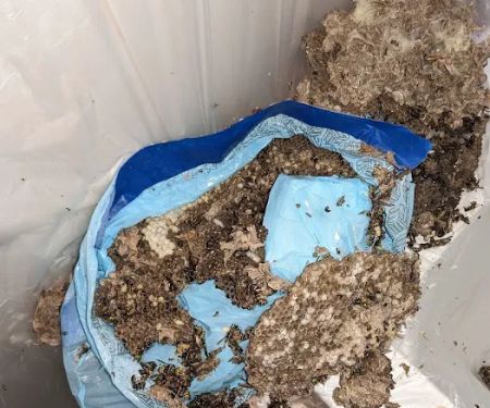 Diamond Plus Pest Control INC