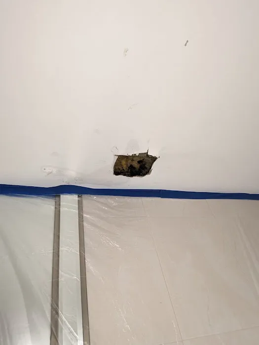 Diamond Plus Pest Control INC Picture 8