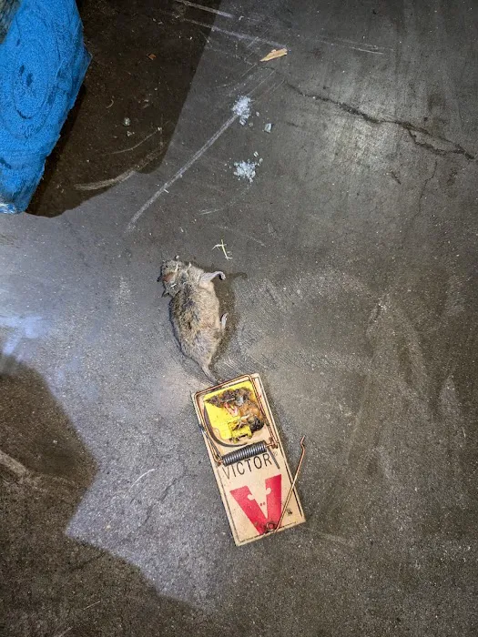 Diamond Plus Pest Control INC Picture 7