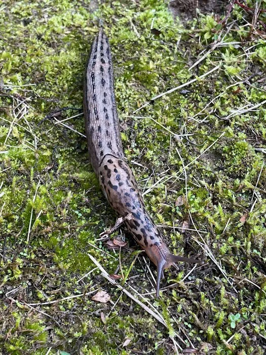 Next Generation Pest Control Picture 8