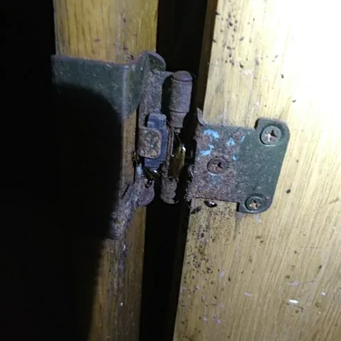 Next Generation Pest Control Picture 6