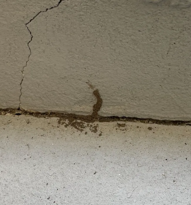 Next Generation Pest Control Picture 3