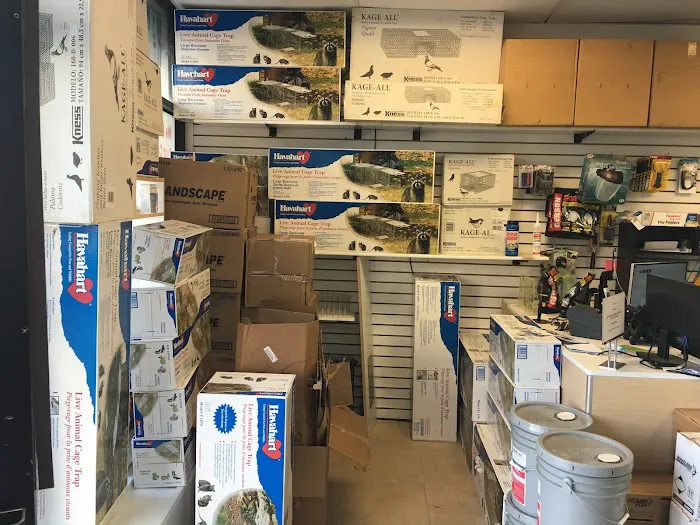 Best Pest Supplies Picture 5