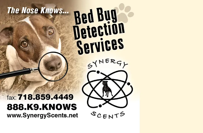 Synergy Scents Bed Bug Detetction Picture 2