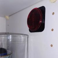 Synergy Scents Bed Bug Detetction ico