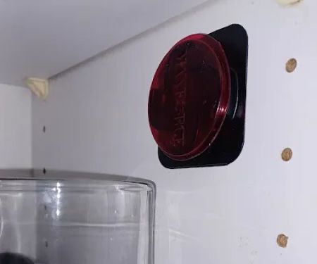 Synergy Scents Bed Bug Detetction