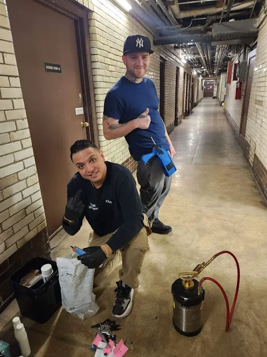 Hill & Sons Pest Management Picture 1