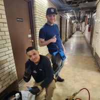 Hill & Sons Pest Management ico